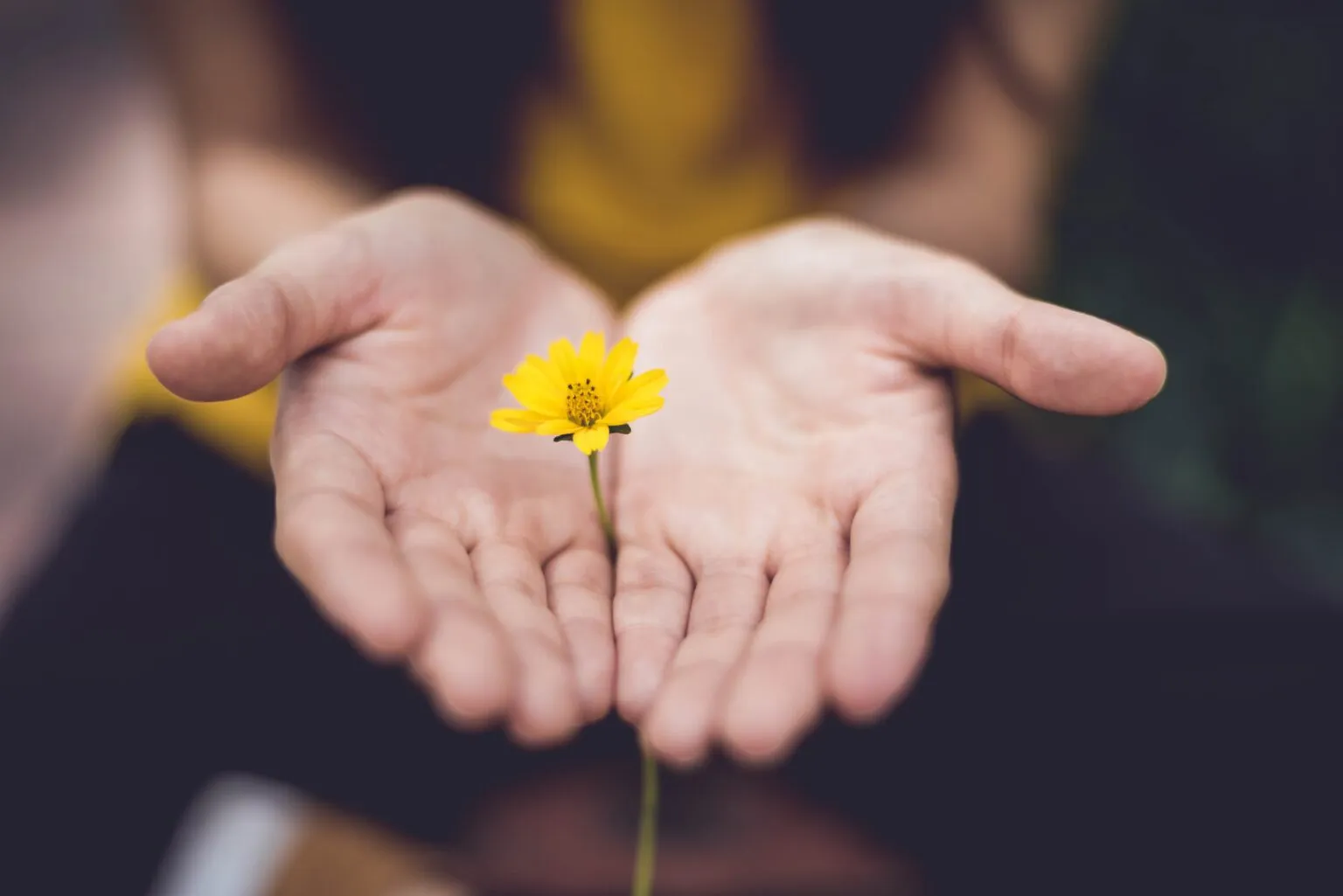 Gratitude - The Power of Appreciation